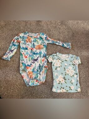 Birdie Bean Long sleeve winter wonderland mountains Toddler Girl Boy 2T Bamboo